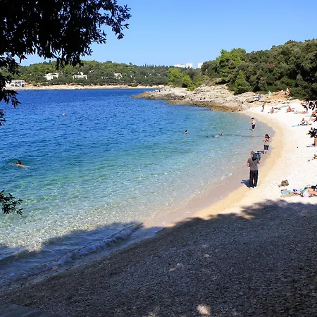 Family-friendly With Swimming Pool - 24352 Appartement Pula